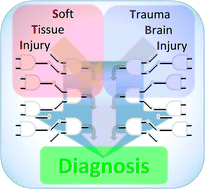 Graphical abstract: Multi-enzyme logic network architectures for assessing injuries: digital processing of biomarkers