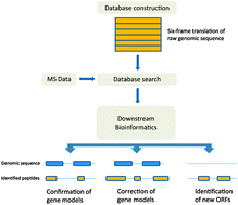 Graphical abstract: Mass spectrometry at the interface of proteomics and genomics