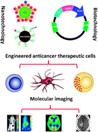 Graphical abstract: Molecular imaging of cell-based cancer immunotherapy