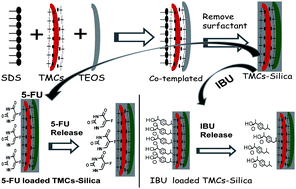 Graphical abstract: Hierarchical mesoporous bio-polymer/silica composites co-templated by trimethyl chitosan and a surfactant for controlled drug delivery