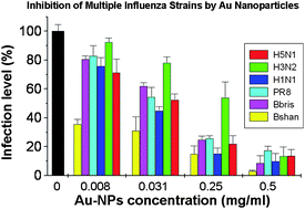 Graphical abstract: Effective multi-strain inhibition of influenza virus by anionic gold nanoparticles