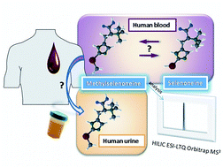 Graphical abstract: Identification in human urine and blood of a novel selenium metabolite, Se-methylselenoneine, a potential biomarker of metabolization in mammals of the naturally occurring selenoneine, by HPLC coupled to electrospray hybrid linear ion trap-orbital ion trap MS