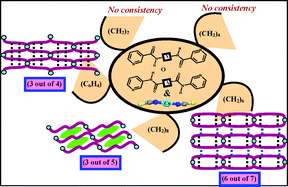 Graphical abstract: Assembling coordination networks of bis-amido pyridines via hydrogen bonds: isostructurality and large hydrophobic cavities for guest inclusion