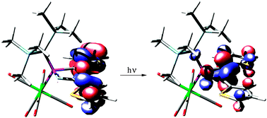 Graphical abstract: Extended π conjugation in 2H-1,4,2-diazaphosphole complexes