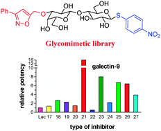 Graphical abstract: Synthesis and screening of a small glycomimetic library for inhibitory activity on medically relevant galactoside-specific lectins in assays of increasing biorelevance