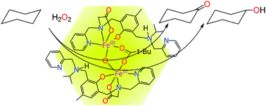 Graphical abstract: A monocarboxylate-bridged diiron(iii) μ-oxido complex that catalyzes alkane oxidation by hydrogen peroxide