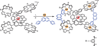 Graphical abstract: The dual role of Cu(i) as a protective group and a template in the synthesis of a tetra-rhodium(iii)porphyrin [2]catenane