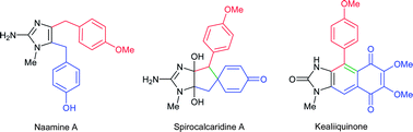 Graphical abstract: Structure and synthesis of 2-aminoimidazole alkaloids from Leucetta and Clathrina sponges