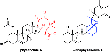 Graphical abstract: Natural withanolides: an overview