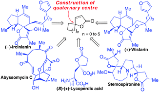 Graphical abstract: Construction of spirolactones with concomitant formation of the fused quaternary centre – application to the synthesis of natural products