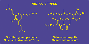 Graphical abstract: Propolis research and the chemistry of plant products