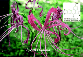 Graphical abstract: Amaryllidaceae and Sceletium alkaloids