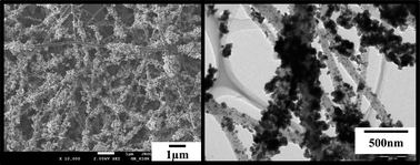 Graphical abstract: Plum-branch-like carbon nanofibers decorated with SnO2 nanocrystals