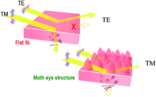 Graphical abstract: Nanoscale of biomimetic moth eye structures exhibiting inverse polarization phenomena at the Brewster angle