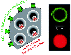 Graphical abstract: Postsynthetic functionalization of mesoporous silica