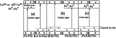 Graphical abstract: Effect of synergy on the visible light activity of B, N and Fe co-doped TiO2 for the degradation of MO
