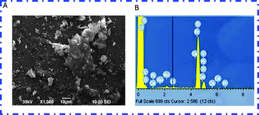 Graphical abstract: Visible light induced photobleaching of methylene blue over melamine-doped TiO2 nanocatalyst