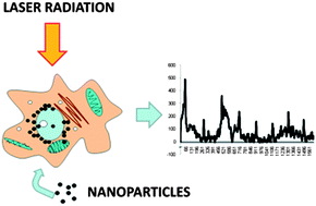 Graphical abstract: Single metal nanoparticle spectroscopy: optical characterization of individual nanosystems for biomedical applications