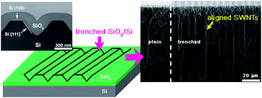 Graphical abstract: Growth of horizontally aligned single-walled carbon nanotubes on anisotropically etched silicon substrate