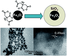 Graphical abstract: Core-shell Fe3O4@SiO2 nanoparticles synthesized with well-dispersed hydrophilic Fe3O4 seeds