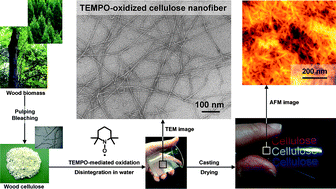 Graphical abstract: TEMPO-oxidized cellulose nanofibers