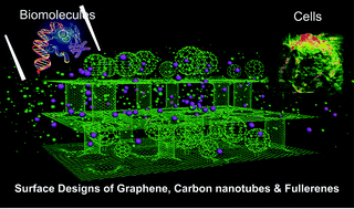 Graphical abstract: Low-toxic and safe nanomaterials by surface-chemical design, carbon nanotubes, fullerenes, metallofullerenes, and graphenes