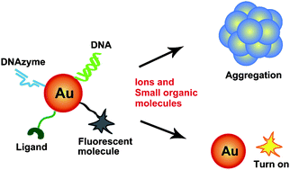 Graphical abstract: Gold nanoparticles for the colorimetric and fluorescent detection of ions and small organic molecules