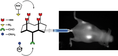 Graphical abstract: Application of click–click chemistry to the synthesis of new multivalent RGD conjugates