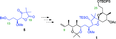 Graphical abstract: Towards the total synthesis of calyculin C: preparation of the C9–C25 spiroketal-dipropionate unit