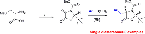 Graphical abstract: Rhodium-catalysed conjugate addition of arylboronic acids to enantiopure dehydroamino acid derivatives