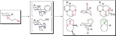 Graphical abstract: Medium-bridged lactams: a new class of non-planar amides