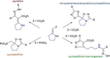 Graphical abstract: Reaction of heterocyclic enamines with nitrile oxide and nitrilimine precursors