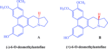 Graphical abstract: First total synthesis of (−)- and (+)-6-O-desmethylantofine