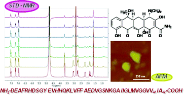 Graphical abstract: Tetracycline prevents Aβ oligomer toxicity through an atypical supramolecular interaction