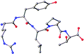 Graphical abstract: Crystal structure of the insect neuropeptide proctolin.