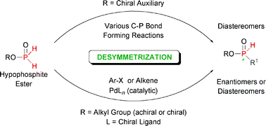 Graphical abstract: Strategies for the asymmetric synthesis of H-phosphinate esters