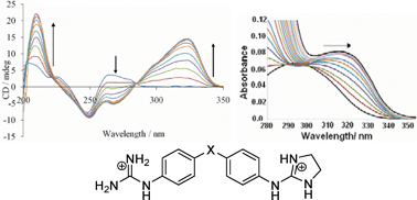 Graphical abstract: Understanding the DNA binding of novel non-symmetrical guanidinium/2-aminoimidazolinium derivatives