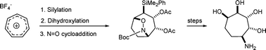 Graphical abstract: Desymmetrization of 7-dimethylphenylsilylcycloheptatriene. Towards the synthesis of new aminocycloheptitols