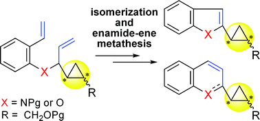 Graphical abstract: Alkene isomerization/enamide-ene and diene metathesis for the construction of indoles, quinolines, benzofurans and chromenes with a chiral cyclopropane substituent
