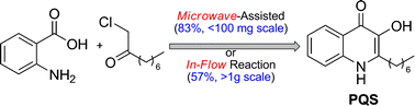 Graphical abstract: Microwave and flow syntheses of Pseudomonas quinolone signal (PQS) and analogues