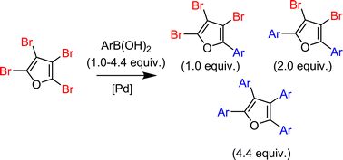 Graphical abstract: Site-selective Suzuki–Miyaura cross-coupling reactions of 2,3,4,5-tetrabromofuran