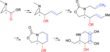 Graphical abstract: Asymmetric synthesis of 1-deoxyazasugars from chiral aziridines