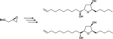 Graphical abstract: Total synthesis of C19 lipid diols containing a 2,5-disubstituted-3-oxygenated tetrahydrofuran
