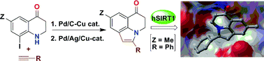 Graphical abstract: Transition metal mediated construction of pyrrole ring on 2,3-dihydroquinolin-4(1H)-one: synthesis and pharmacological evaluation of novel tricyclic heteroarenes