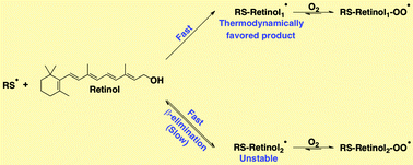 Graphical abstract: Kinetic studies of retinol addition radicals