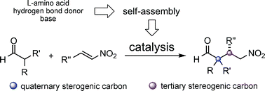 Graphical abstract: Practical access to highly enantioenriched quaternary carbon Michael adducts using simple organocatalysts