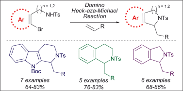 Graphical abstract: A general approach to N-heterocyclic scaffolds using domino Heck–aza-Michael reactions
