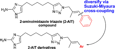 Graphical abstract: Synthesis and biological activity of 2-aminoimidazole triazoles accessed by Suzuki–Miyaura cross-coupling