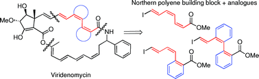 Graphical abstract: Studies towards the synthesis of the northern polyene of viridenomycin and synthesis of Z-double bond analogues