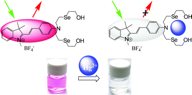 Graphical abstract: Novel hemicyanine dye as colorimetric and fluorometric dual-modal chemosensor for mercury in water